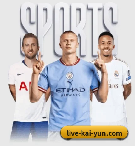 本站五个常用功能入口,赛程查询路径更短 - 多运动项目内容板块 | Kaiyun Sports