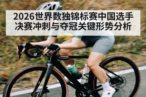 2026世界数独锦标赛中国选手决赛冲刺与夺冠关键形势分析